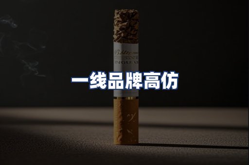 一线品牌高仿